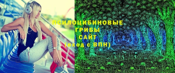spice Алексин
