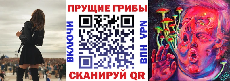 Галлюциногенные грибы Psilocybine cubensis кракен ONION Йошкар-Ола купить закладку