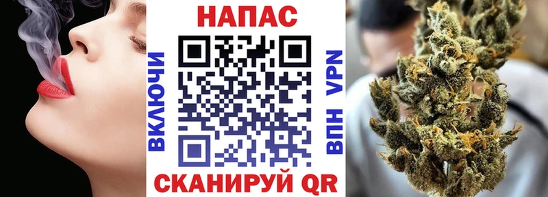 Канабис гибрид  Йошкар-Ола 